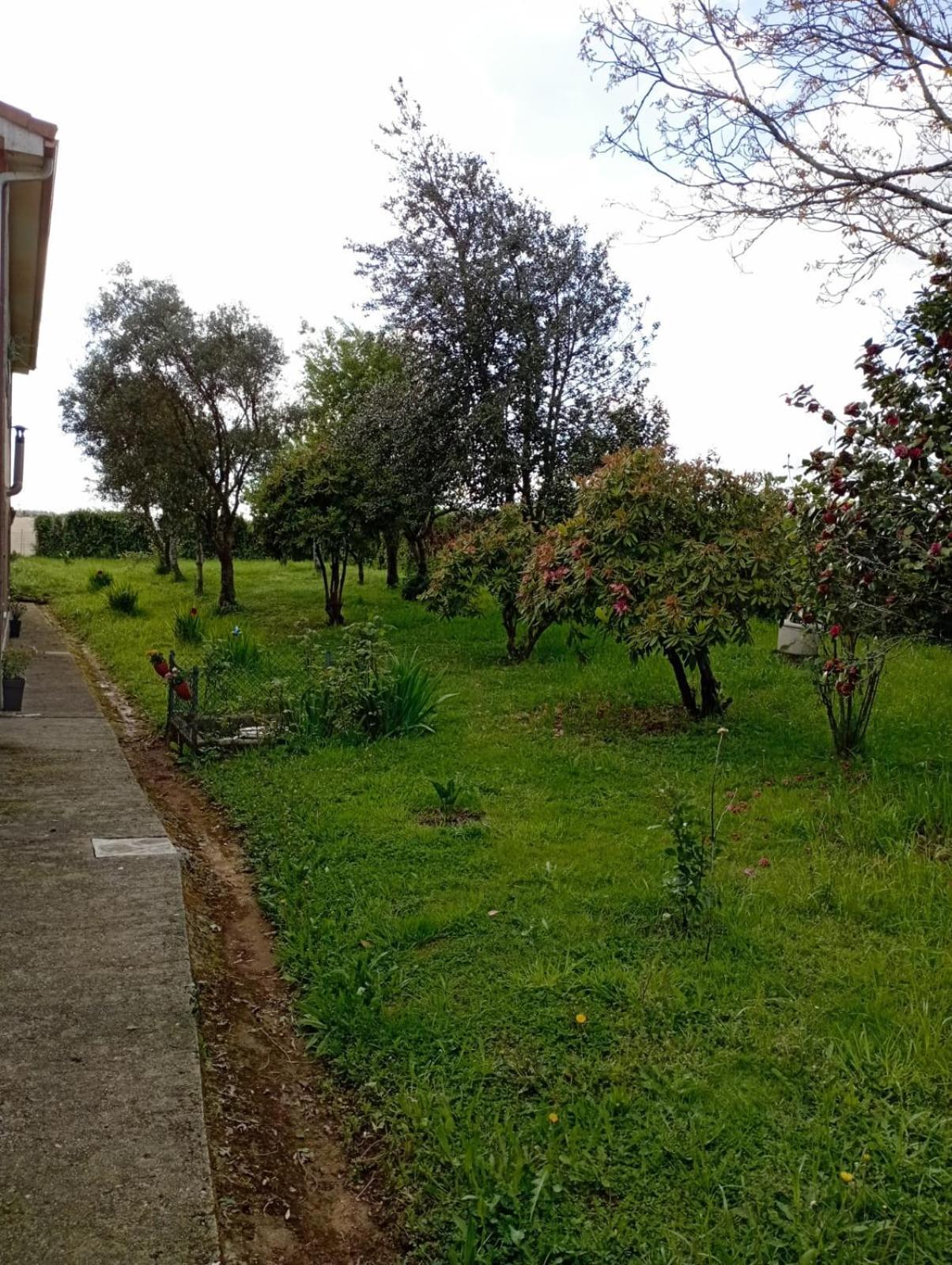 Ferienwohnung A Casa Do San Paio De Buscas Ordes Exterior foto
